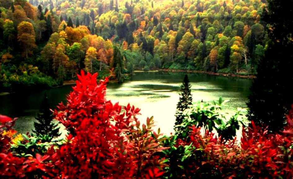 Borçka Tanıtımı ve Borçka’da Kültür Turizmi