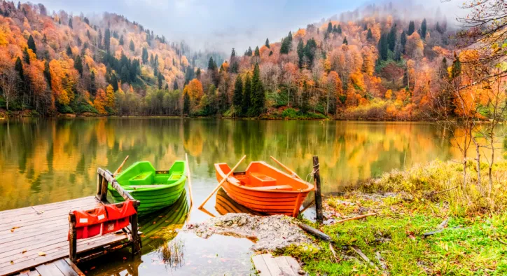 Borçka’ya Nasıl Gidilir? – Karadeniz’in Güzelliğini Keşfetmek İçin Eşsiz Bir Rota